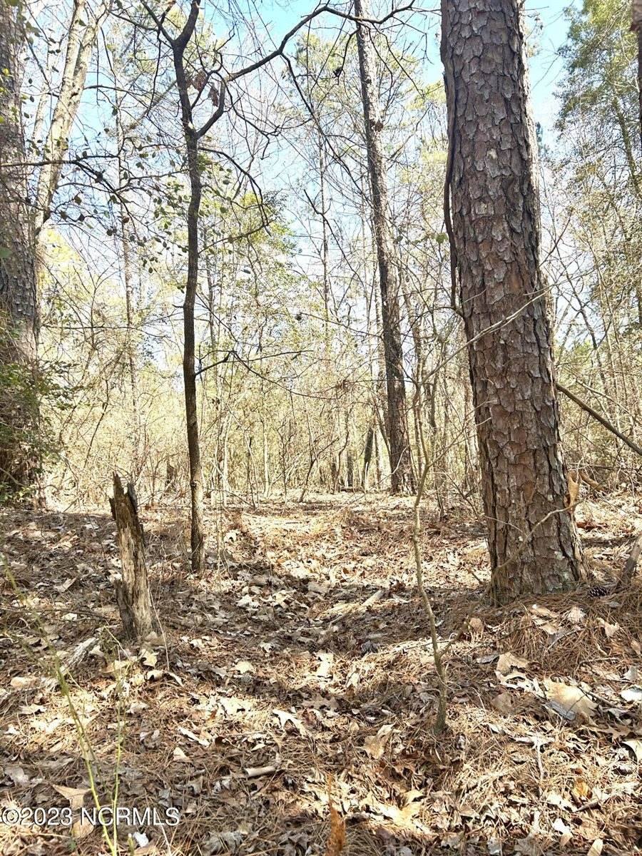 Tbd Niagara Carthage, Lot 1 Road, Whispering Pines, NC 28327