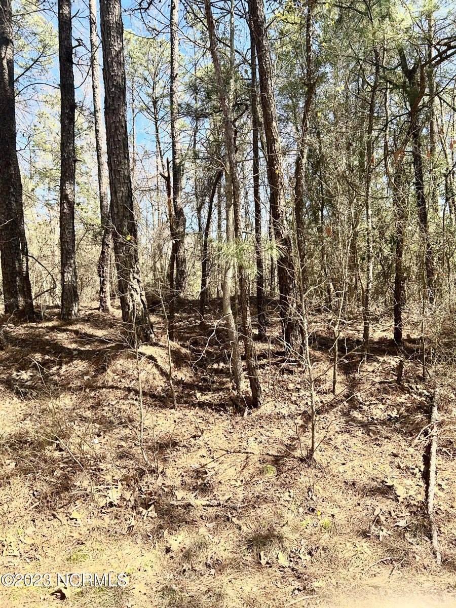Tbd Niagara Carthage, Lot 1 Road, Whispering Pines, NC 28327