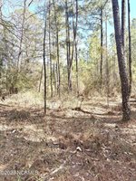 Tbd Niagara Carthage, Lot 1 Road, Whispering Pines, NC 28327