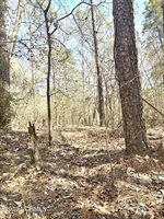 Tbd Niagara Carthage, Lot 1 Road, Whispering Pines, NC 28327