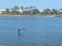 811 Ingraham Place, Dauphin Island, AL 36528