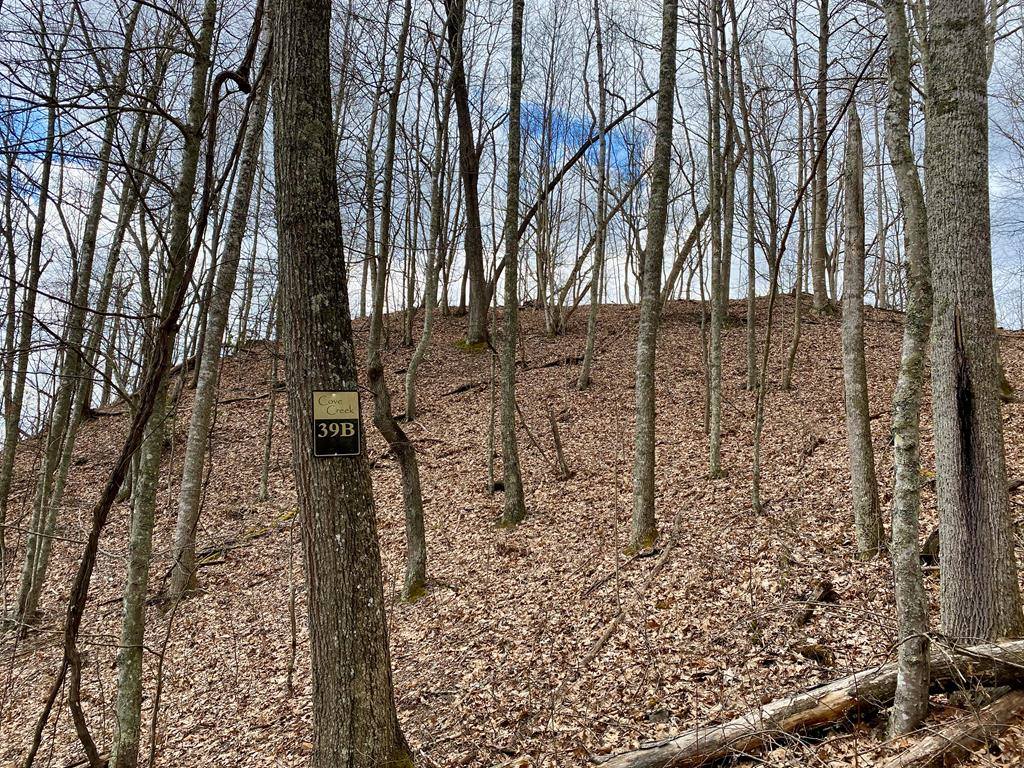 Lot 39B Wildflower Way, Tazewell, VA 24651