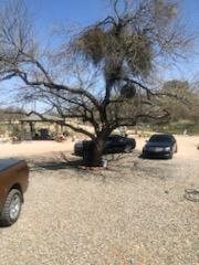 9640 S Nogales Hwy, Tucson, AZ 85756