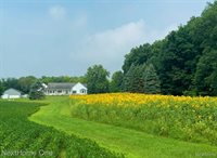 3455 West Coon Lake Road, Marion Township, MI 48843