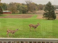 3455 West Coon Lake Road, Marion Township, MI 48843