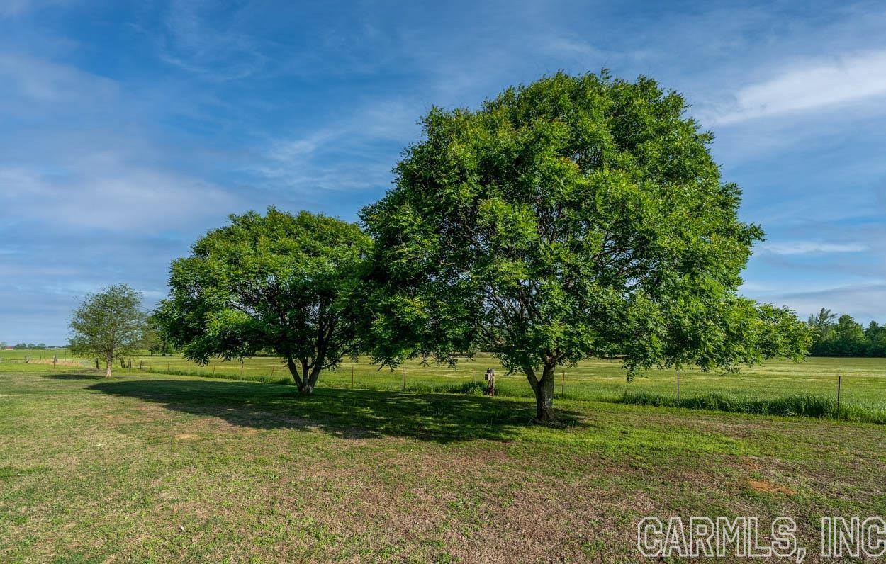 356 Rocky Point Rd, Vilonia, AR 72173