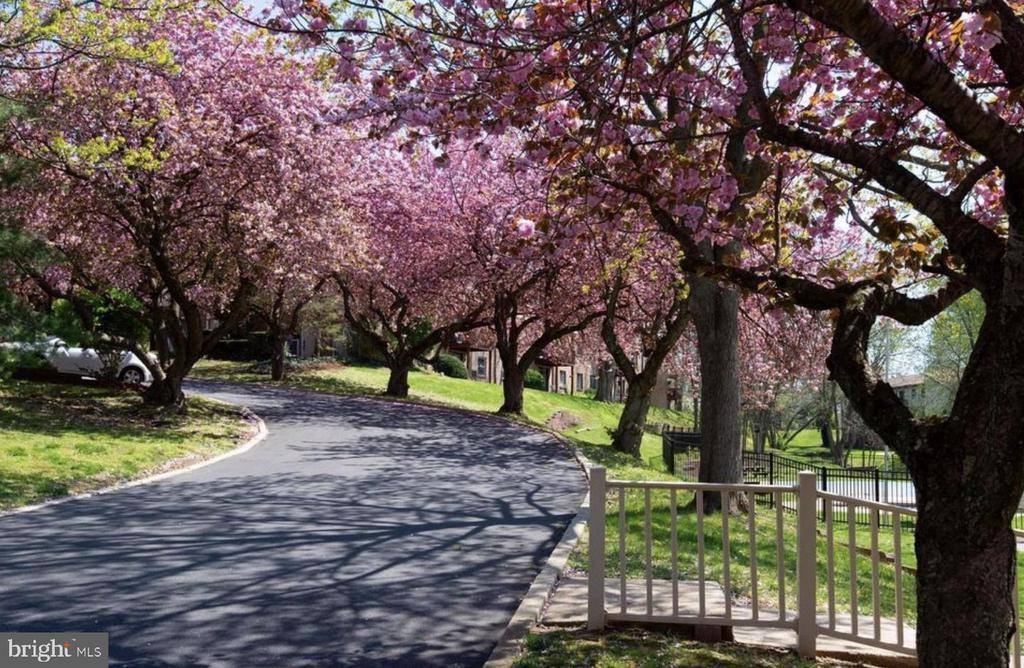 280 Bridgewater Road, Brookhaven, PA 19015