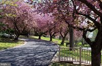 280 Bridgewater Road, Brookhaven, PA 19015