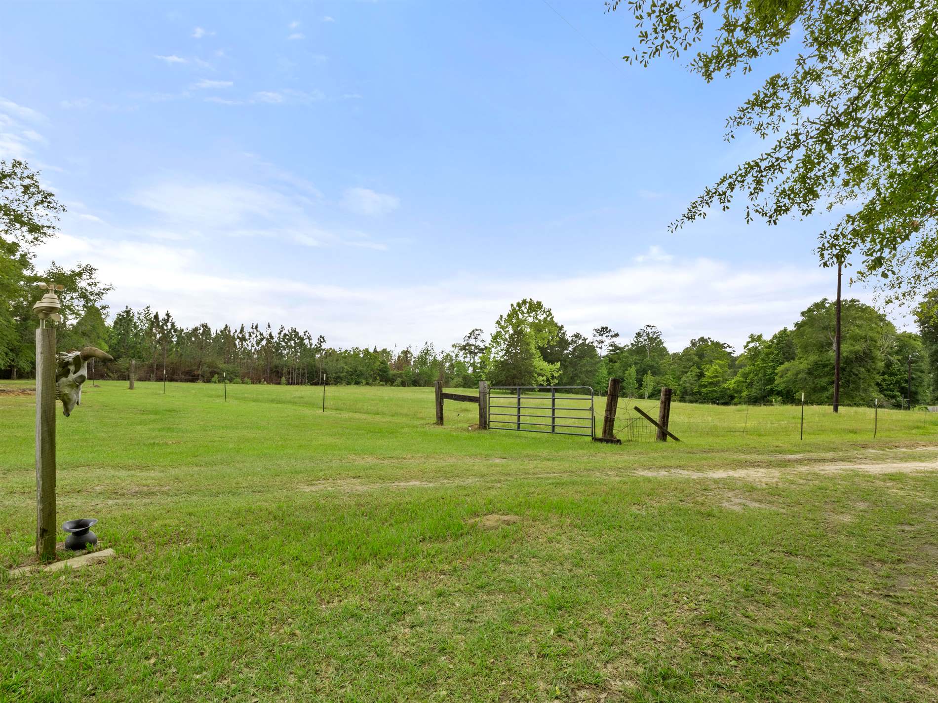 405 Dove Ln, Leesville, LA 71446