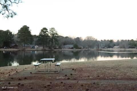 203 Lakebend Circle, Brandon, MS 39042