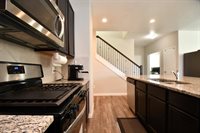 24638 Signorelli Way, Katy, TX 77493