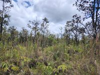 Omeka Rd, Volcano, HI 96785