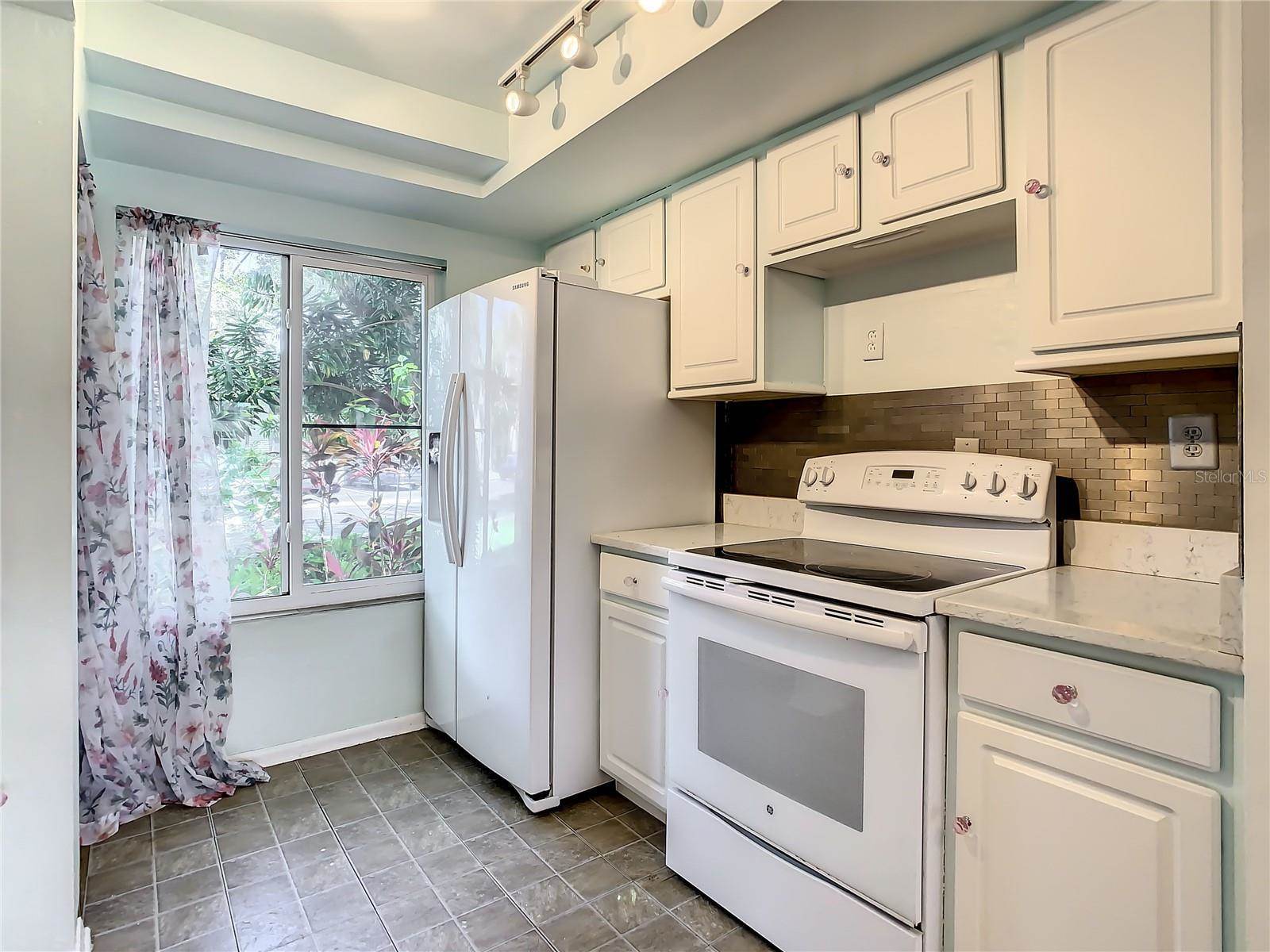 360 Moorings Cove Drive, Tarpon Springs, FL 34689