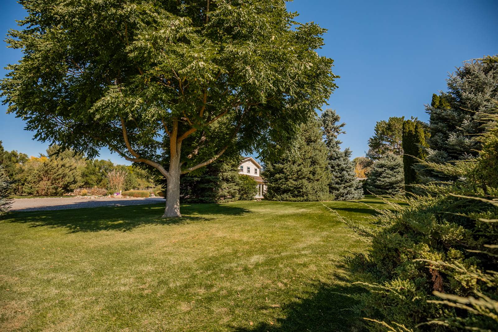 62347 Jig Road, Montrose, CO 81401