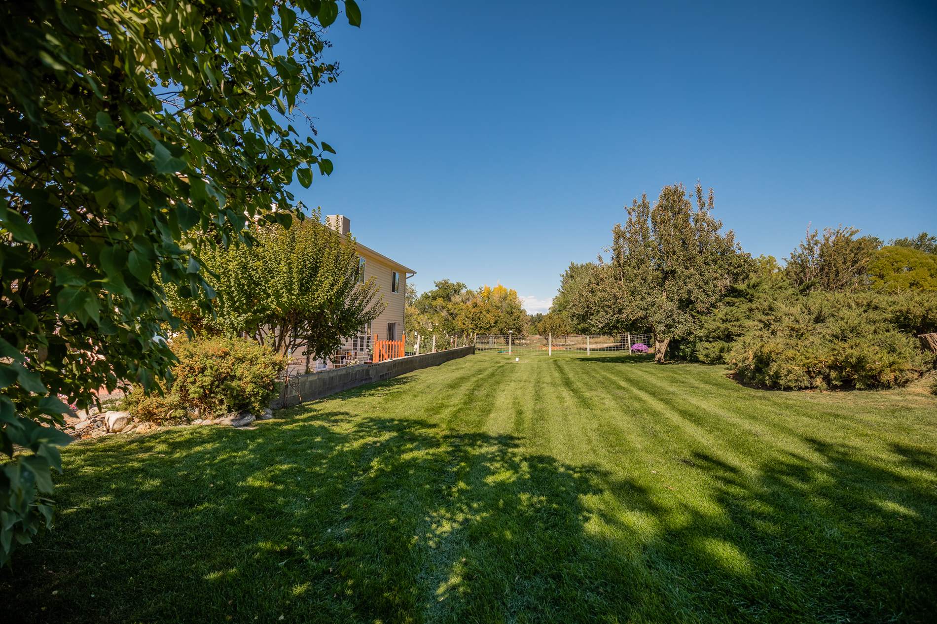 62347 Jig Road, Montrose, CO 81401