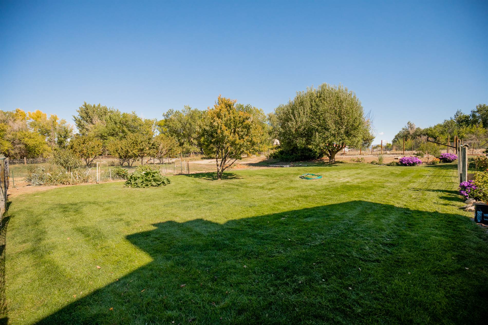 62347 Jig Road, Montrose, CO 81401