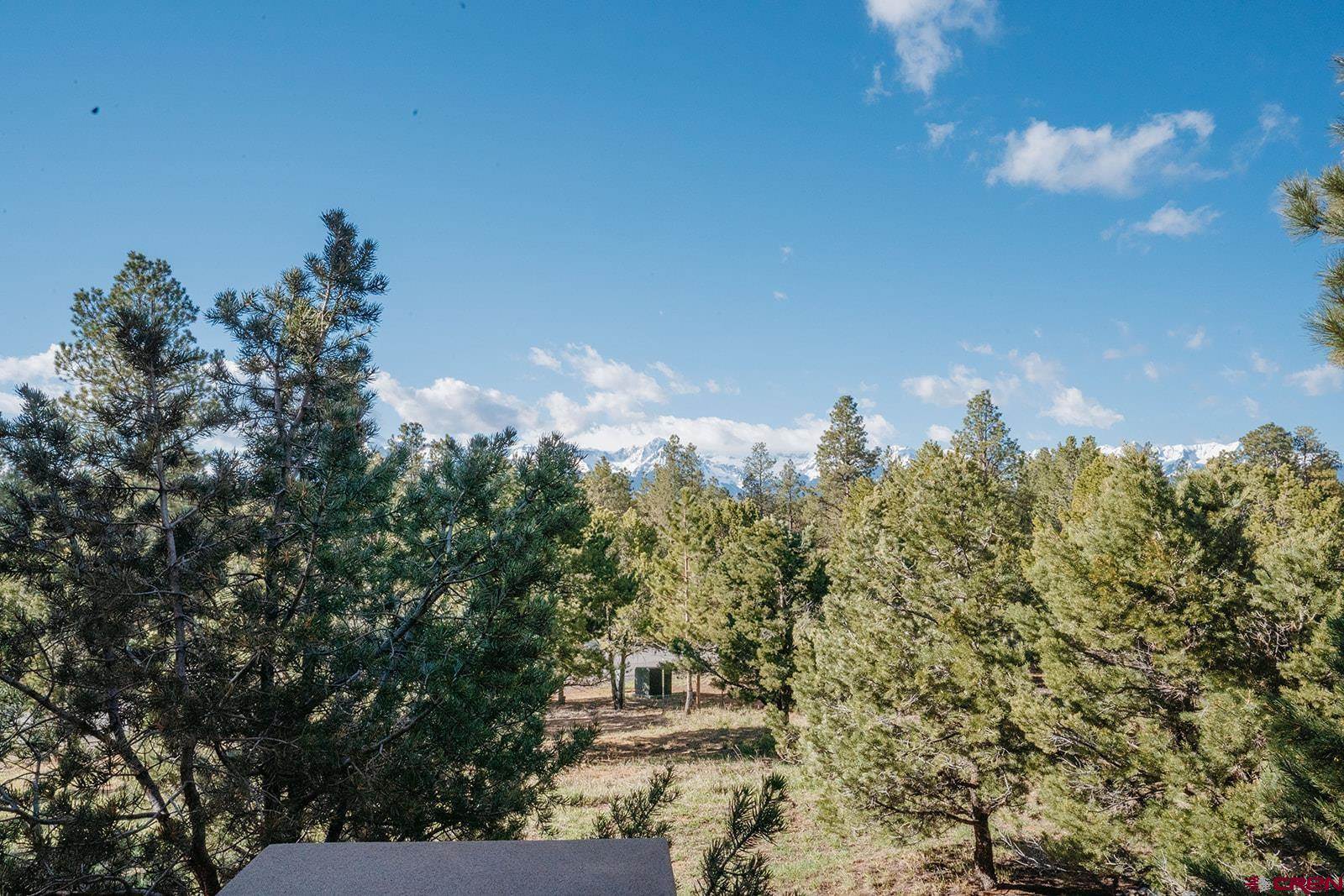 493 Marmot Drive, Ridgway, CO 81432