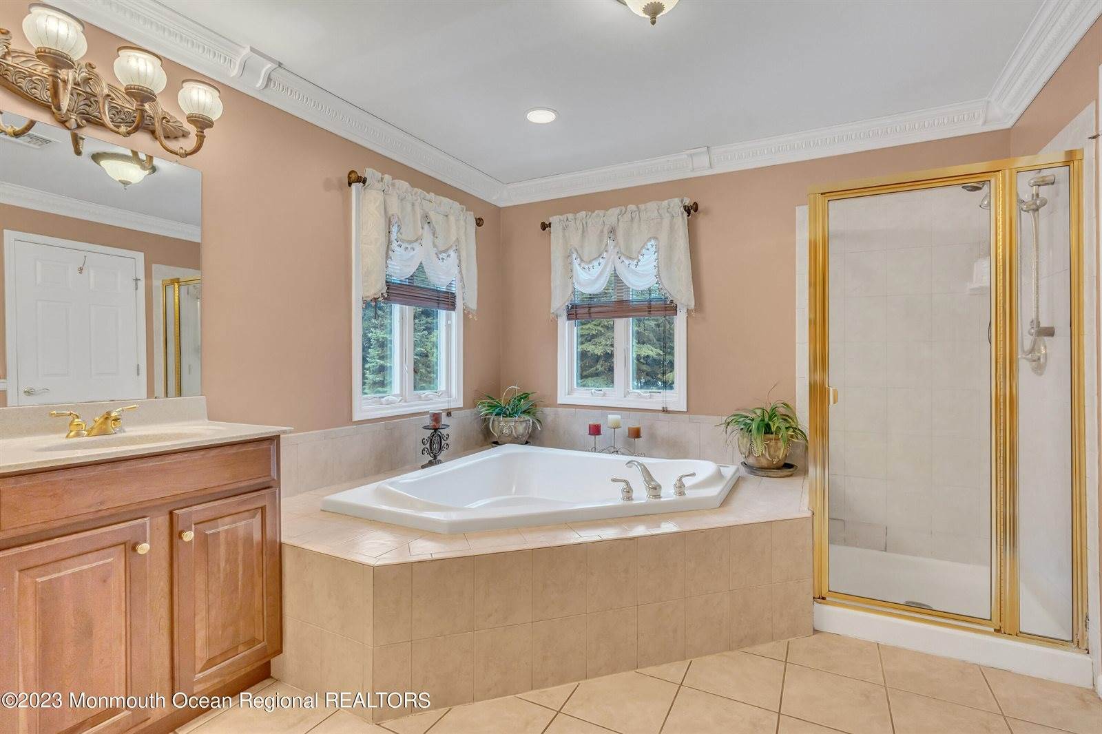 19 Sycamore Court, Monroe, NJ 08831