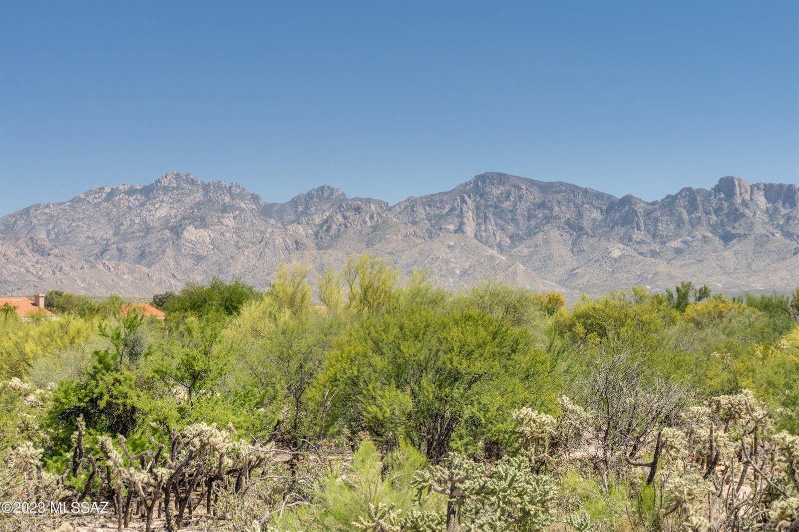 14332 North Chalk Creek Drive, Oro Valley, AZ 85755