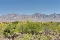 14332 North Chalk Creek Drive, Oro Valley, AZ 85755