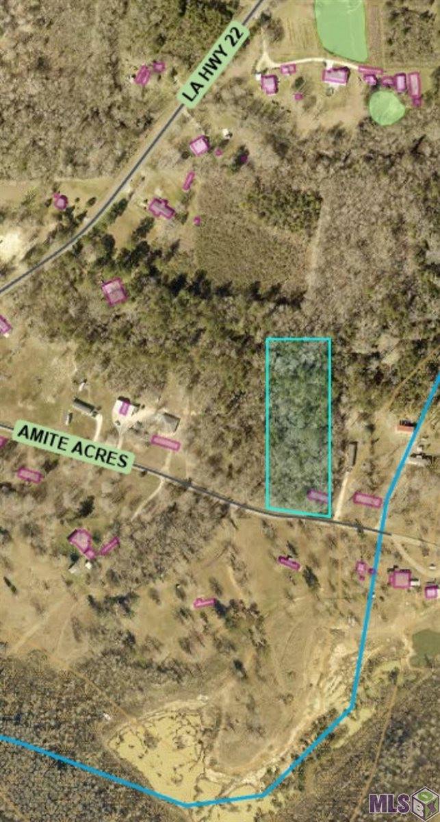 Tbd Amite Acres Dr, Springfield, LA 70462