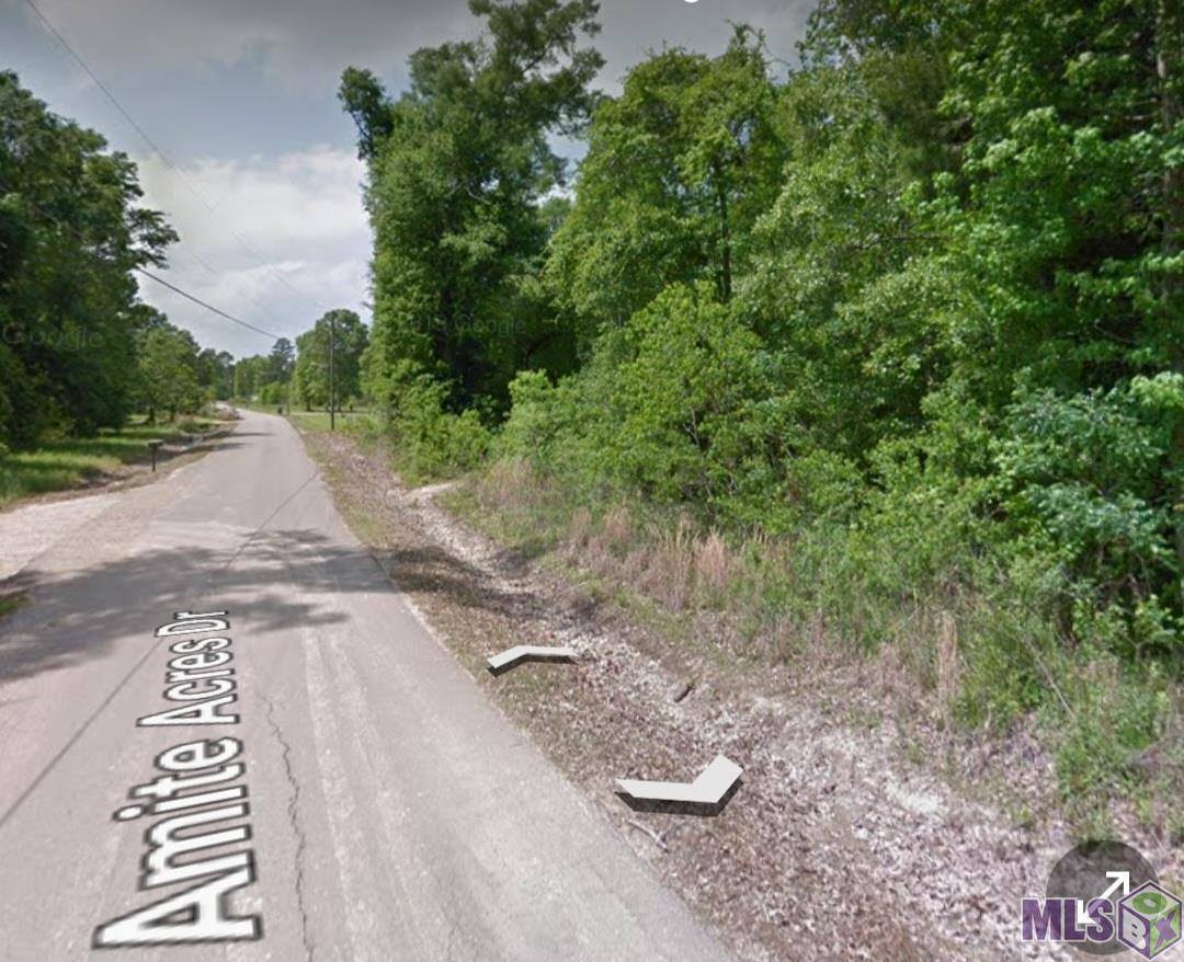 TBD-1 Amite Acres, Springfield, LA 70462