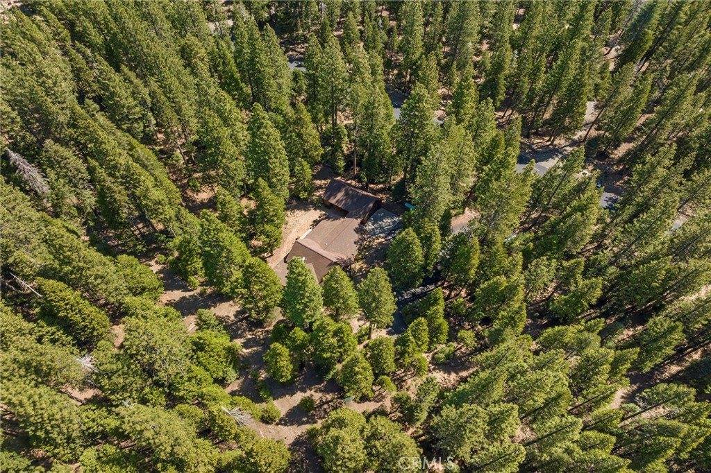 21443 Biggers Lane, Butte Meadows, CA 95942