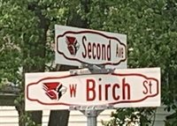 401 South 2nd Avenue, Forreston, IL 61030