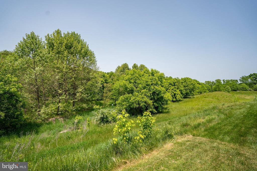 199 Ontario Drive, Falling Waters, WV 25419