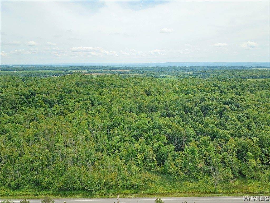 0 State Rt 19 S, Gainesville, NY 14066