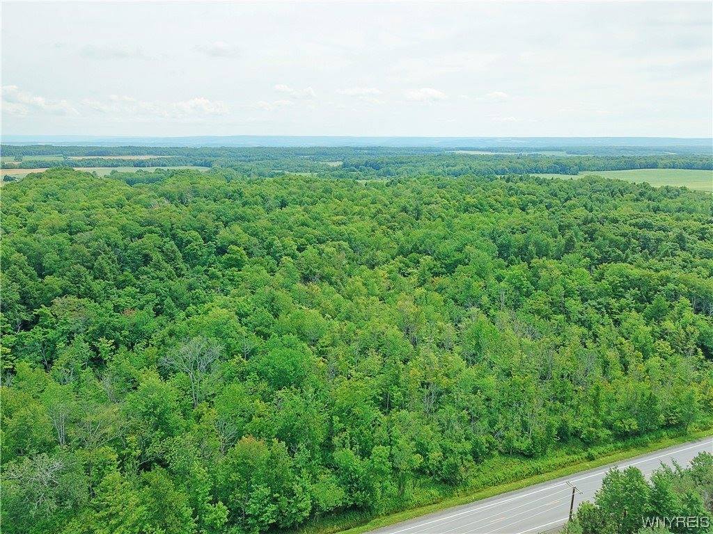 0 State Rt 19 S, Gainesville, NY 14066