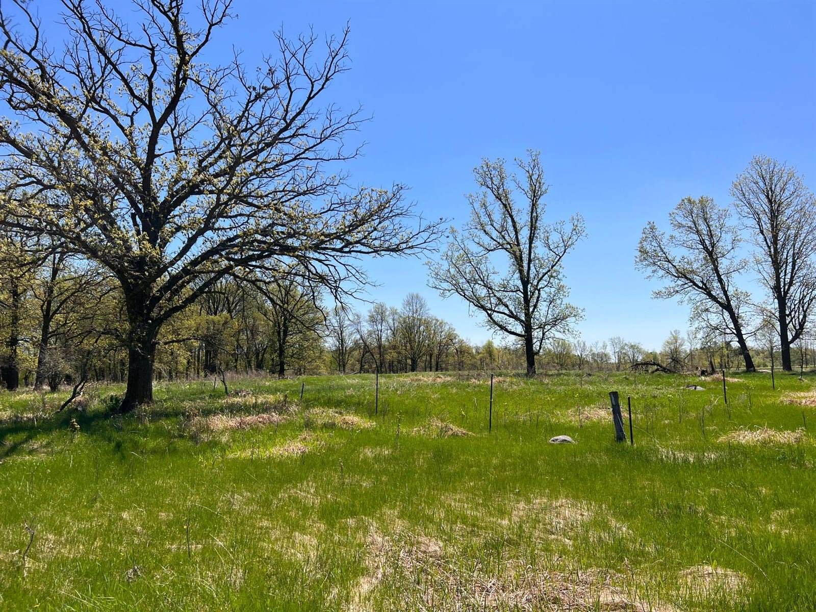 22386 State 210, Staples, MN 56479