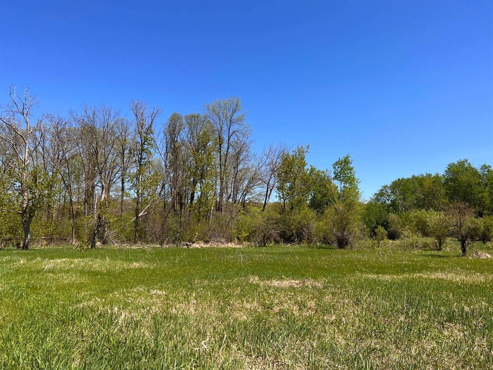 xxx State 210, Staples Township, MN 56479