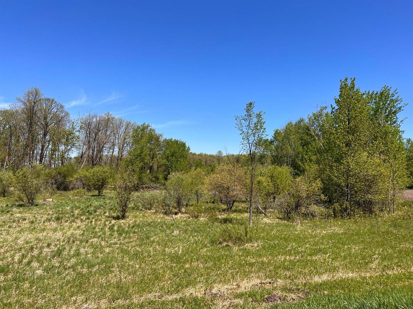 xxx State 210, Staples Township, MN 56479