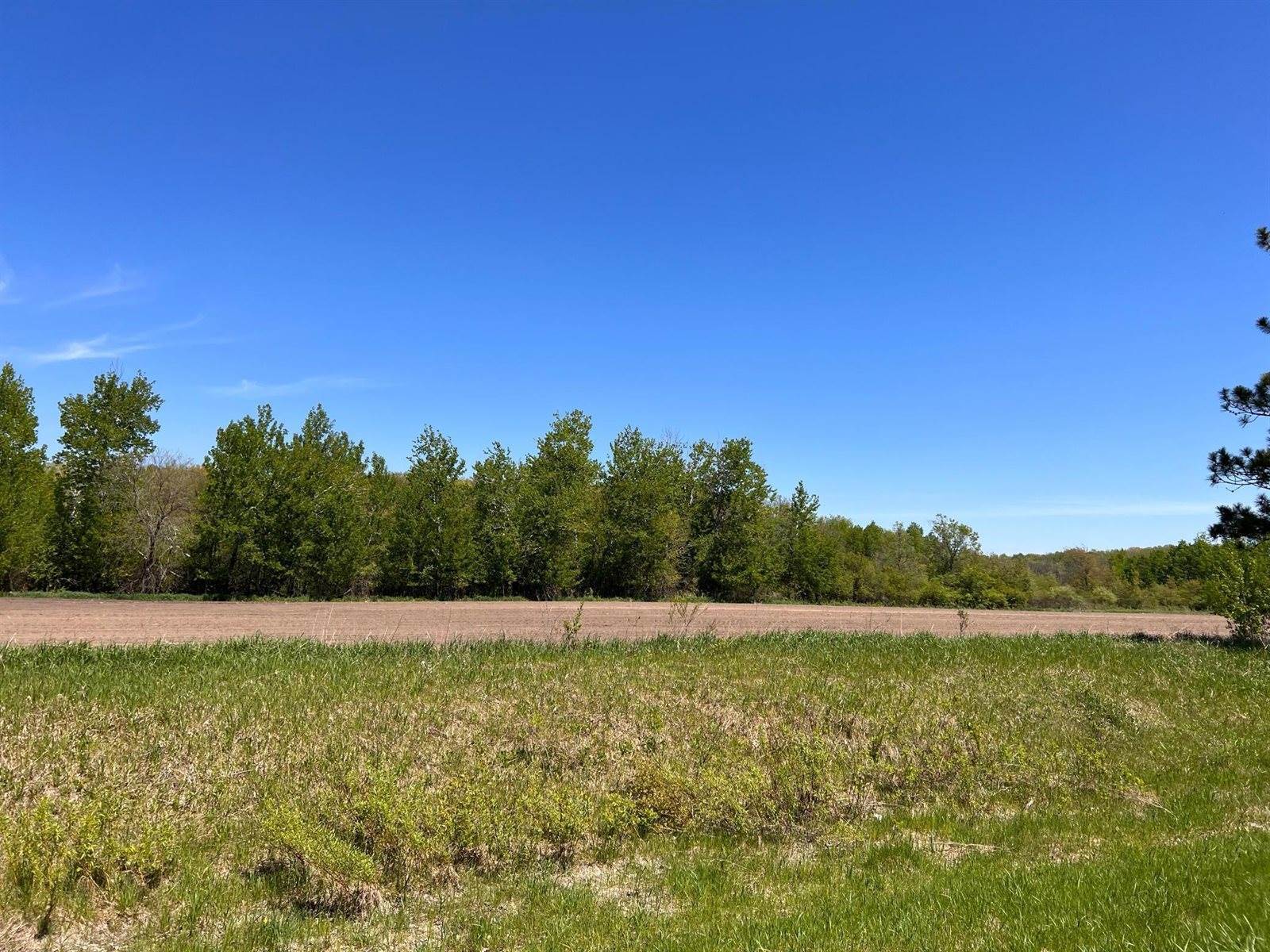 xxx State 210, Staples Township, MN 56479