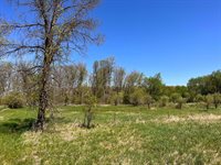 xxx State 210, Staples Township, MN 56479