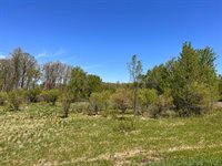 xxx State 210, Staples Township, MN 56479