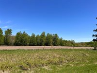 xxx State 210, Staples Township, MN 56479