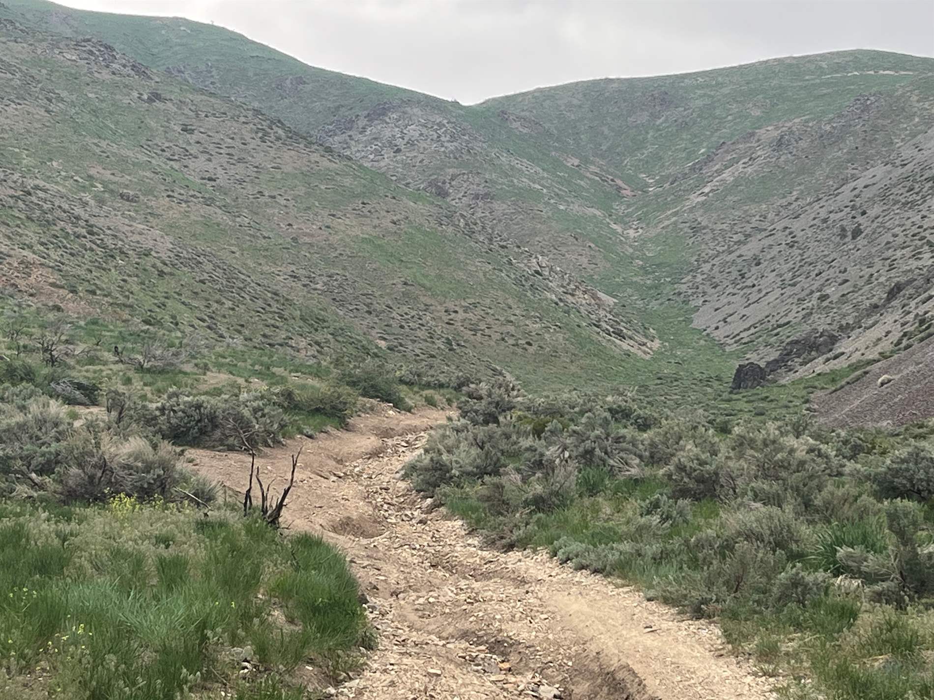 No Address Available, Gardnerville, NV 89440