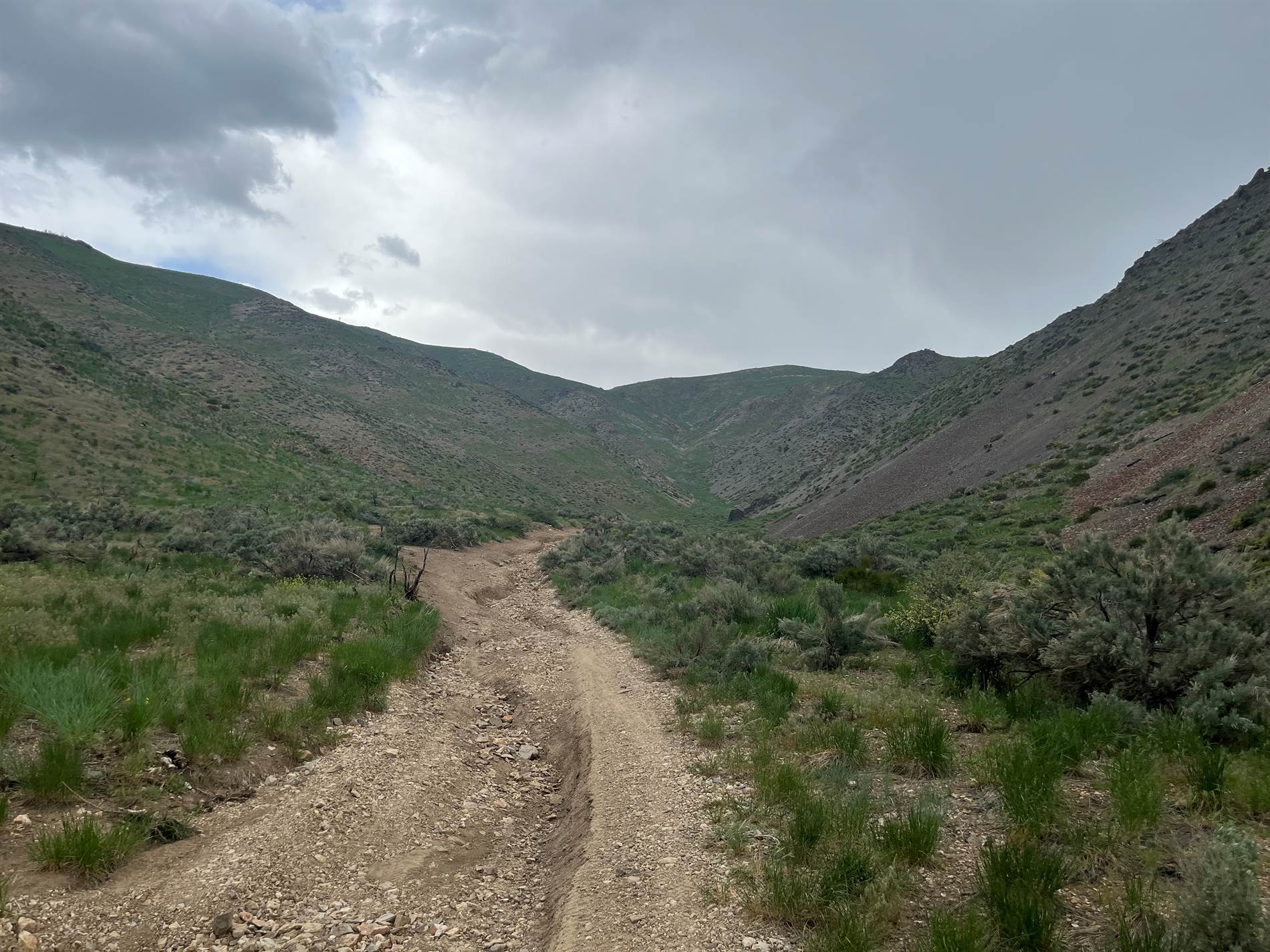 No Address Available, Gardnerville, NV 89440