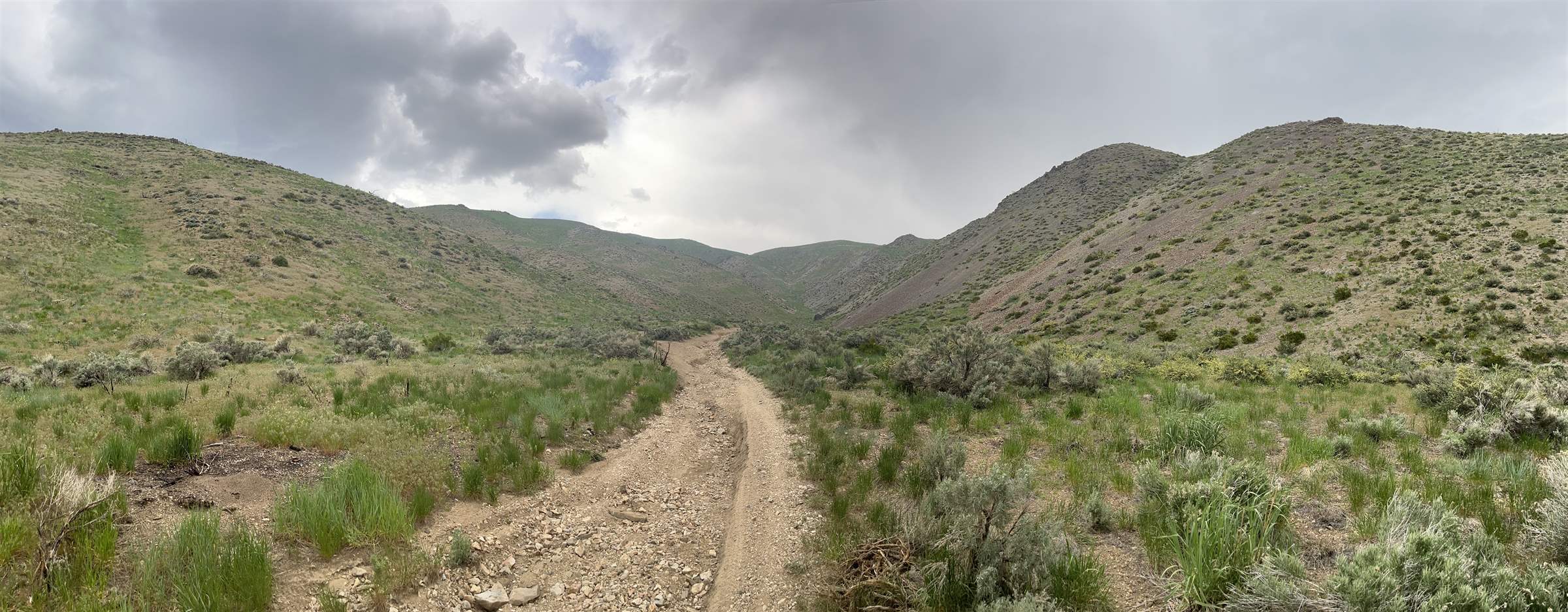 No Address Available, Gardnerville, NV 89440