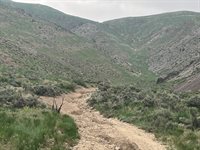 No Address Available, Gardnerville, NV 89440