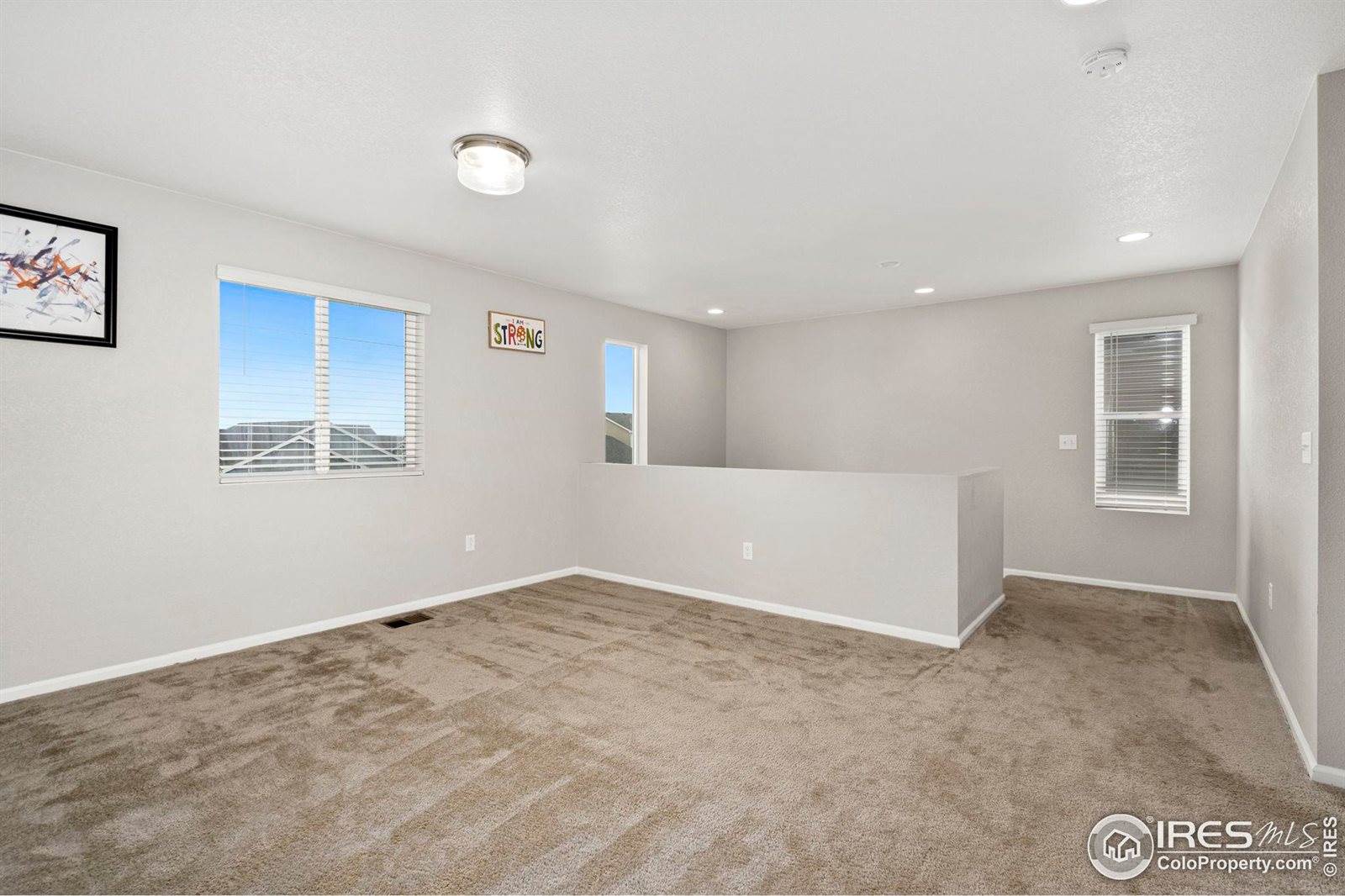 1855 Ruddlesway Dr, Windsor, CO 80550