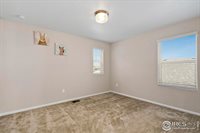 1855 Ruddlesway Dr, Windsor, CO 80550