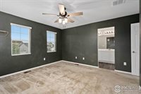 1855 Ruddlesway Dr, Windsor, CO 80550