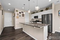 1855 Ruddlesway Dr, Windsor, CO 80550