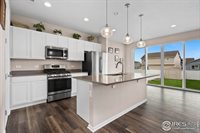1855 Ruddlesway Dr, Windsor, CO 80550
