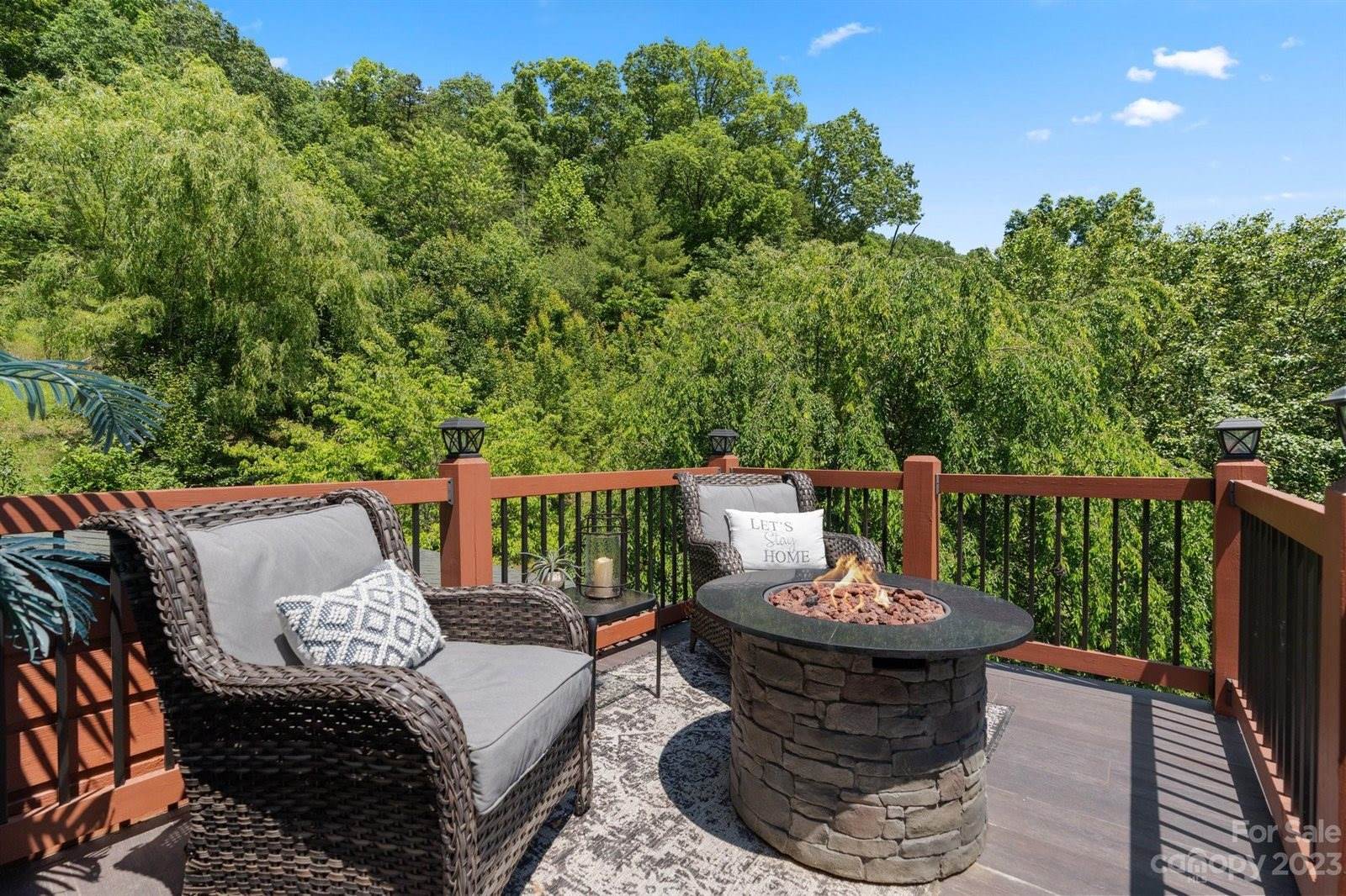 336 Carter Lane, Marshall, NC 28753