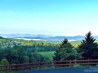 336 Carter Lane, Marshall, NC 28753