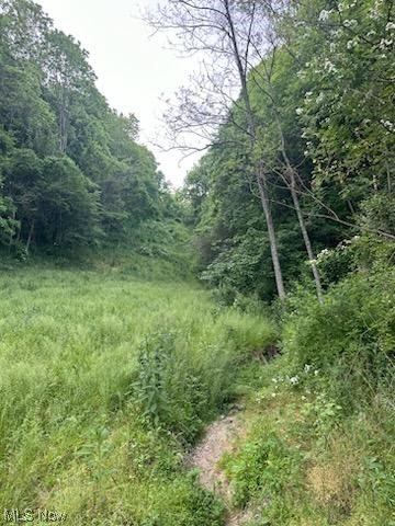 Sarchets Run Road, Cambridge, OH 43725